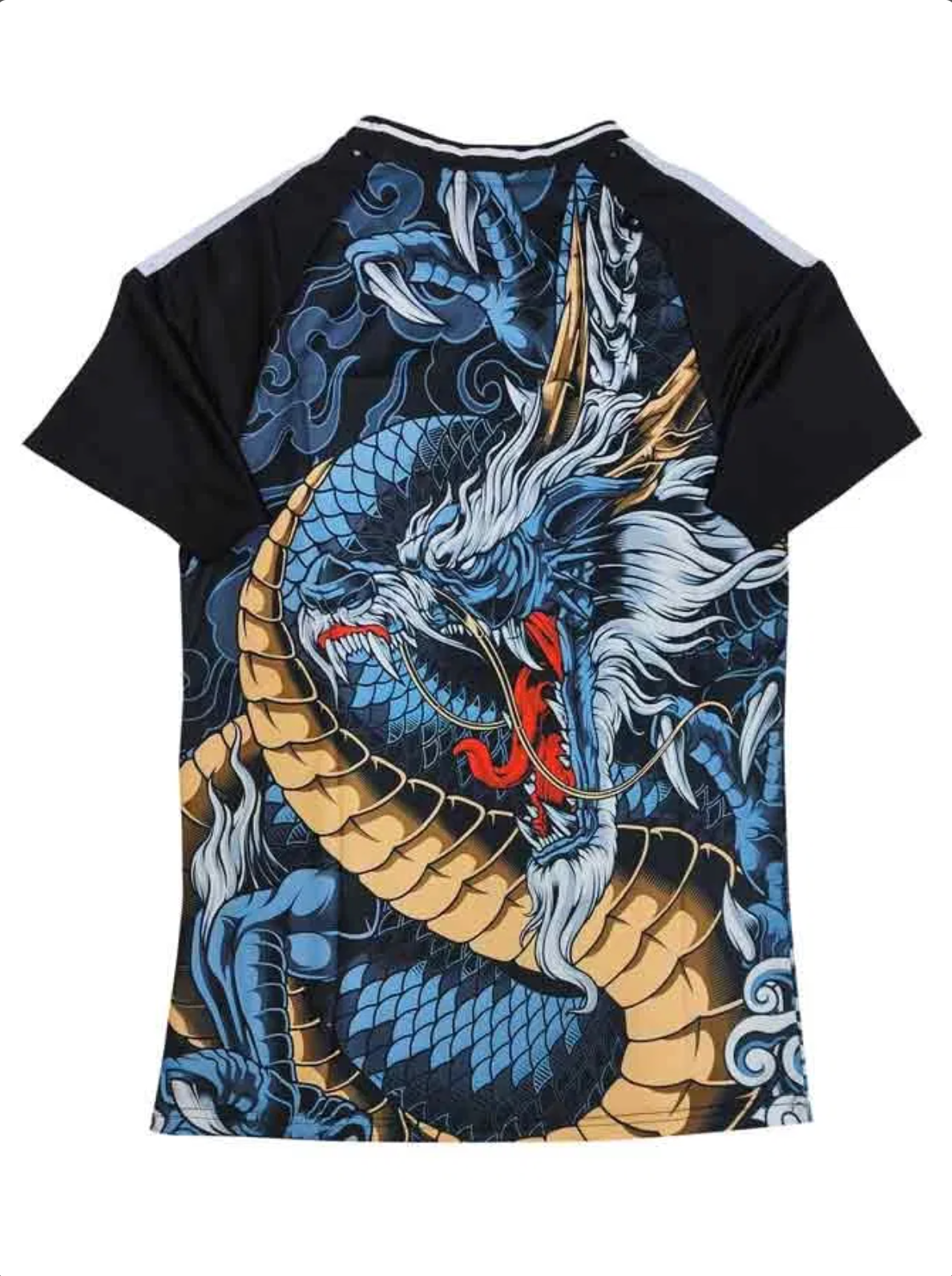 Japan 2024 - Dragon edition