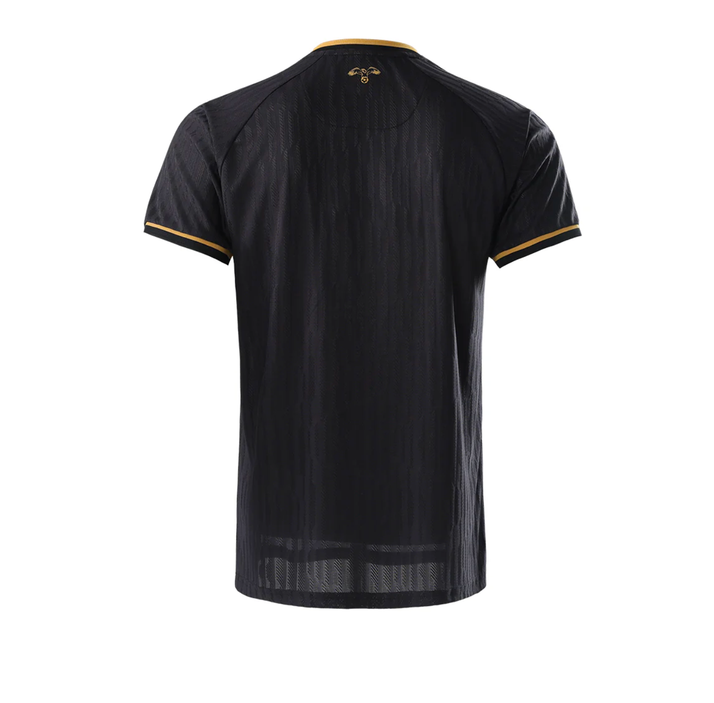 Jordan National Team Third Jersey 2026